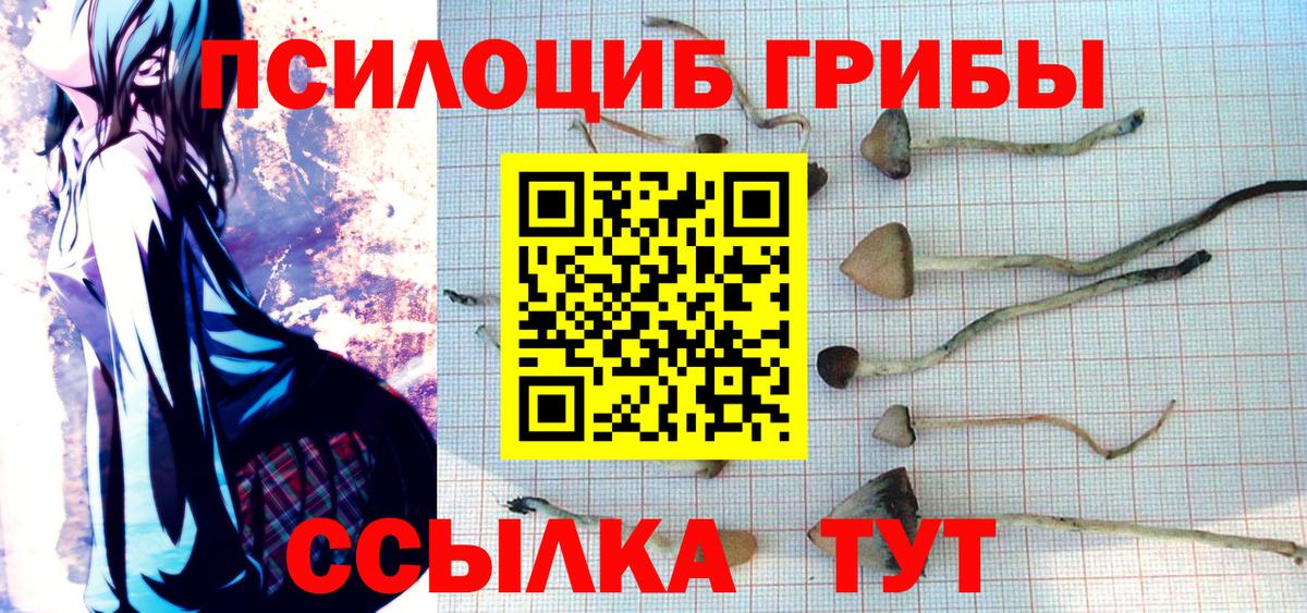 Гай  Псилоцибиновые грибы Psilocybine cubensis  Вход с VPN 